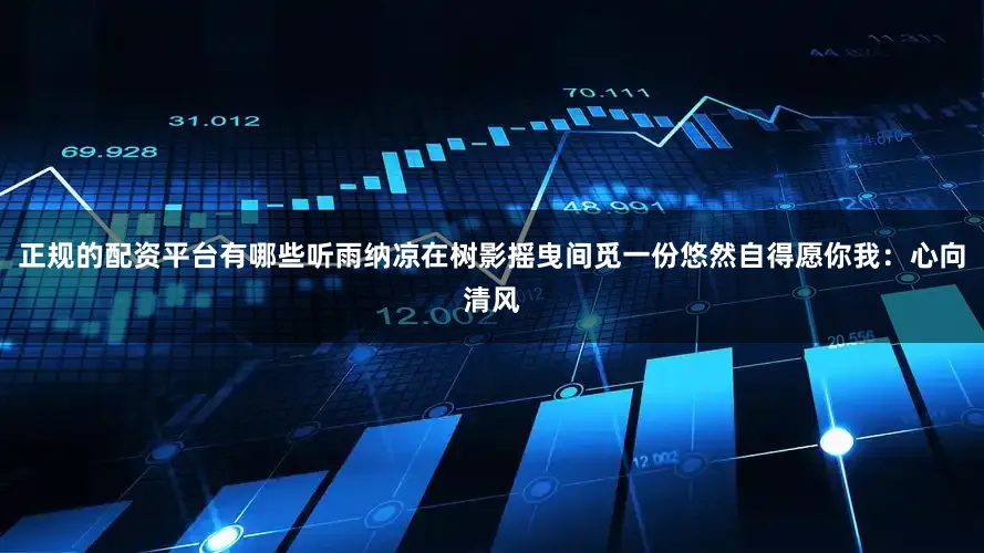 正规的配资平台有哪些听雨纳凉在树影摇曳间觅一份悠然自得愿你我：心向清风