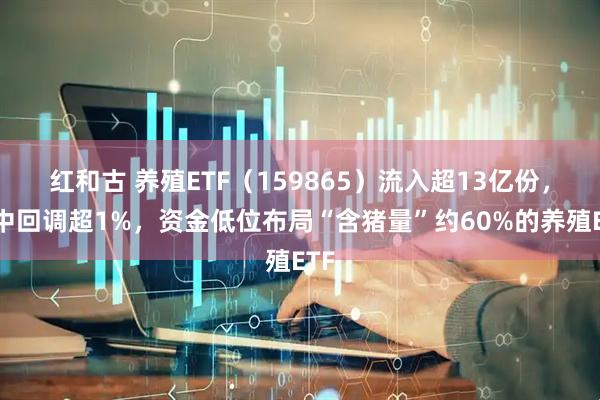 红和古 养殖ETF（159865）流入超13亿份，盘中回调超1%，资金低位布局“含猪量”约60%的养殖ETF