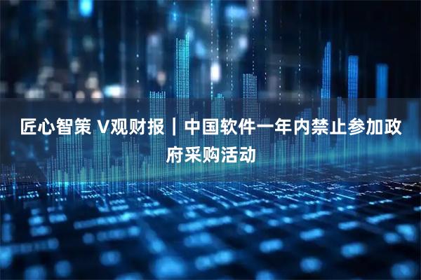 匠心智策 V观财报｜中国软件一年内禁止参加政府采购活动